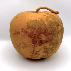 Clean Dried Natural Gourd 
ARTS & CRAFTS Project Ready ~ Apple Shape!